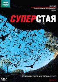 Постер BBC: Суперстая